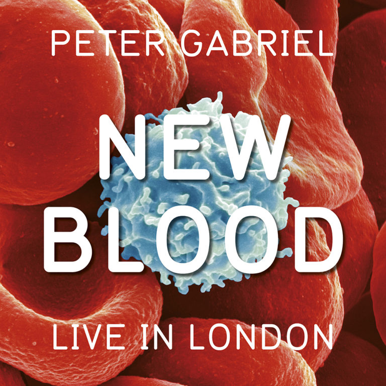 the book of love peter gabriel instrumental